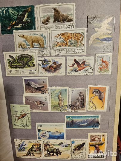 Флора фауна марки разных стран