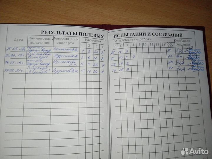 Лайка зсл