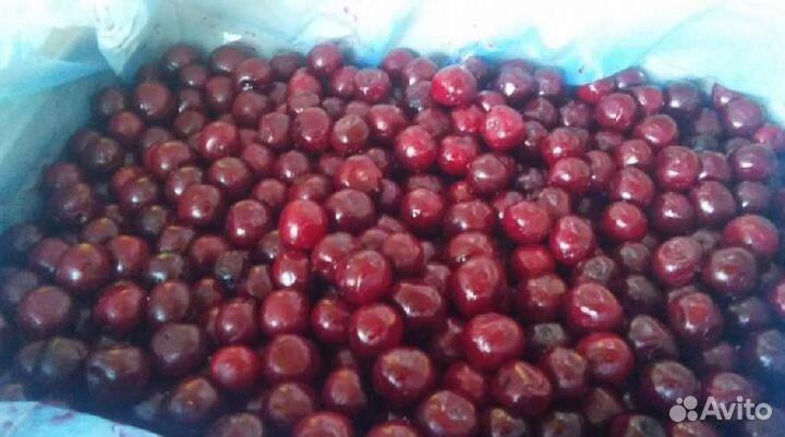 Вишня с косточкой Россия замороженная коробка