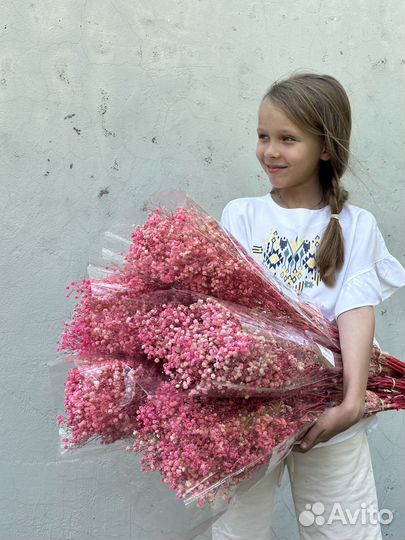 Сухоцветы Лимониум стабилизированный