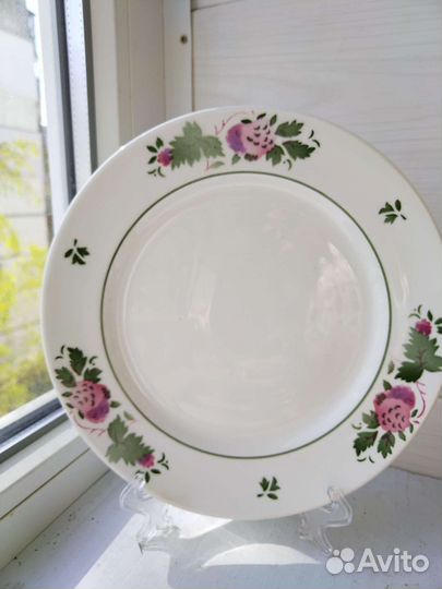 Тарелка зик