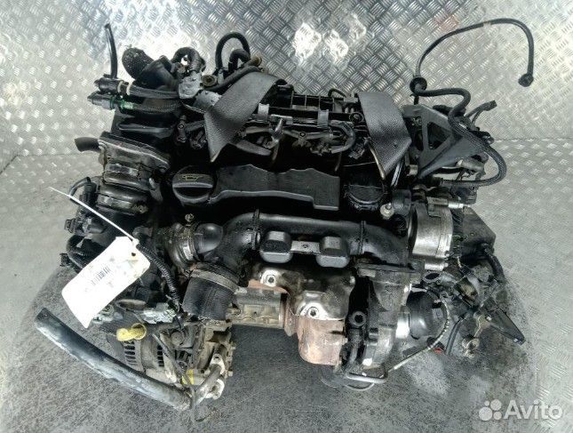 Двигатель G8DB Ford Focus 1.6 Дизель