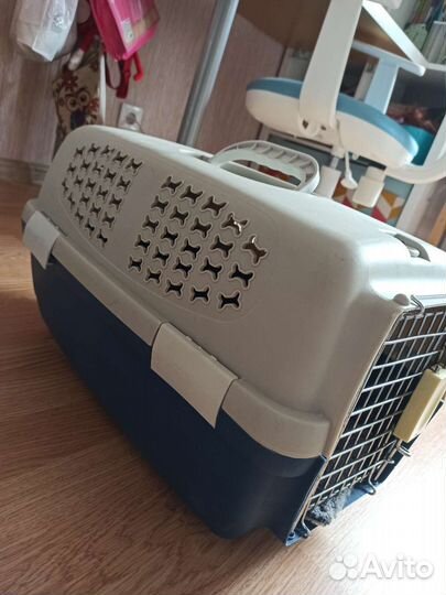 Переноска для кошек аренда