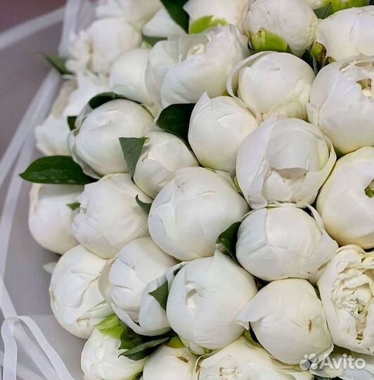 Пионы Букеты Цветы Доставка