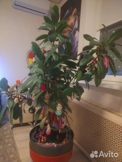 Елочные игрушки СССР советские