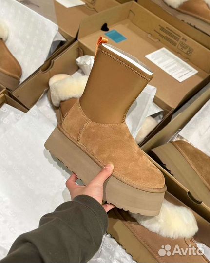 Ugg classic dipper