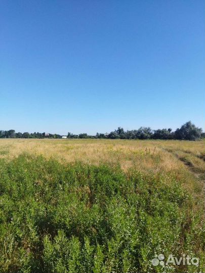 Сено в лугах