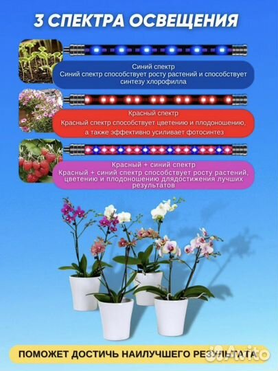 Фитолампа для растений