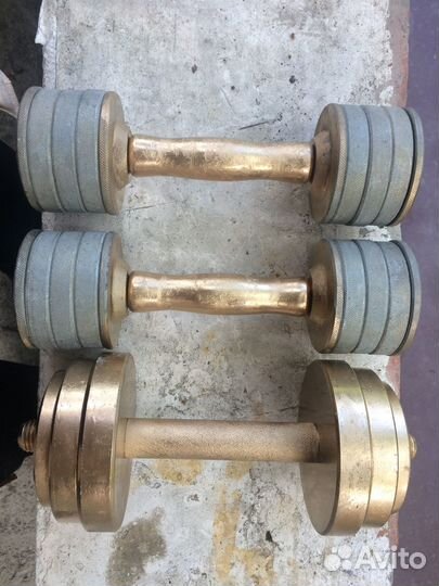 Гантели разборные