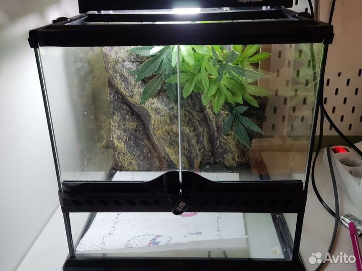 Террариум для рептилий бу
