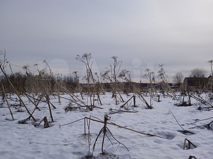 Участок 22 сот. (СНТ, ДНП)