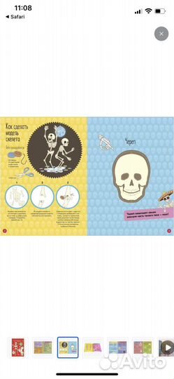 Книга Тело человека