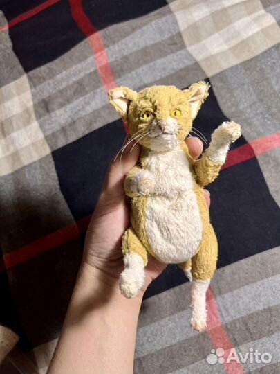 Кот в стиле тедди