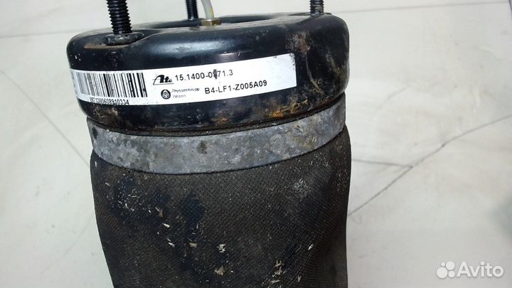 Амортизатор подвески Mercedes R W251 2005, 2006