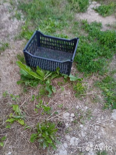 Ящик пластиковый