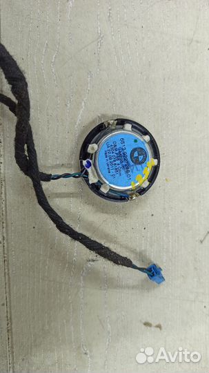 Динамик BMW X5 E70