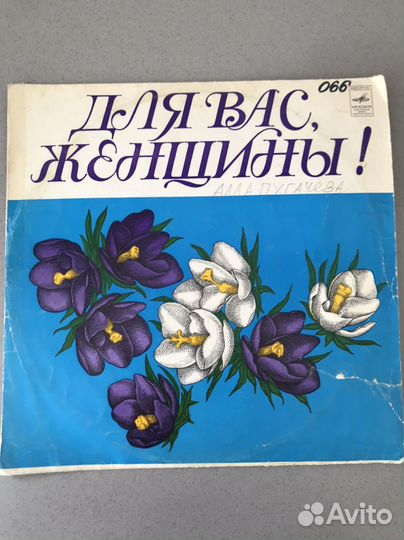 Виниловая пластинка