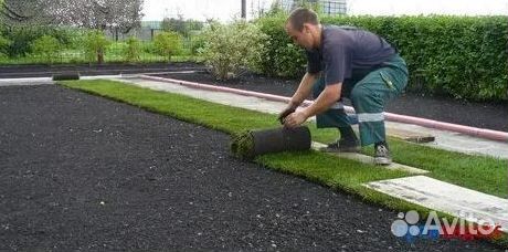 Укладка газона