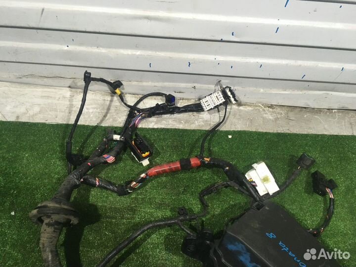 Электропроводка моторная + блок предохранителей