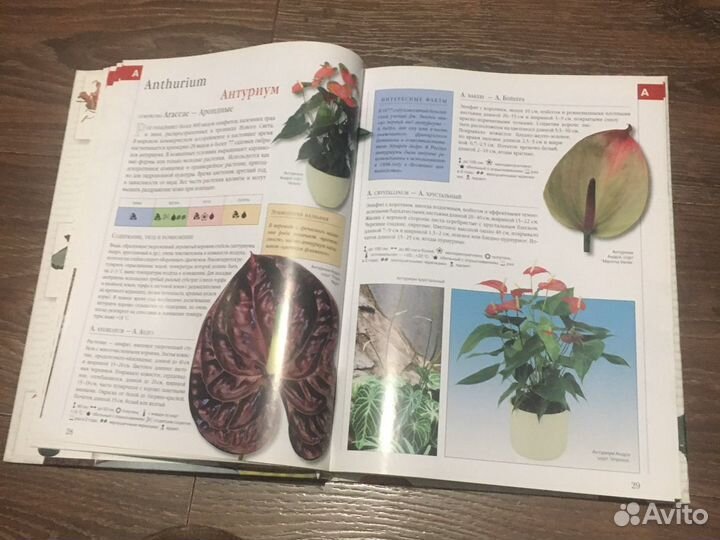 Библия комнатнах растений