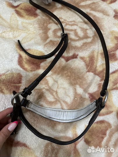 Чешский капсуль для лошади