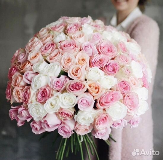 Высокие розы