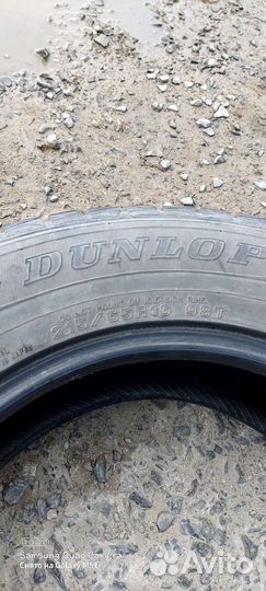 Dunlop SP Winter Maxx WM01 215/65 R16 98T