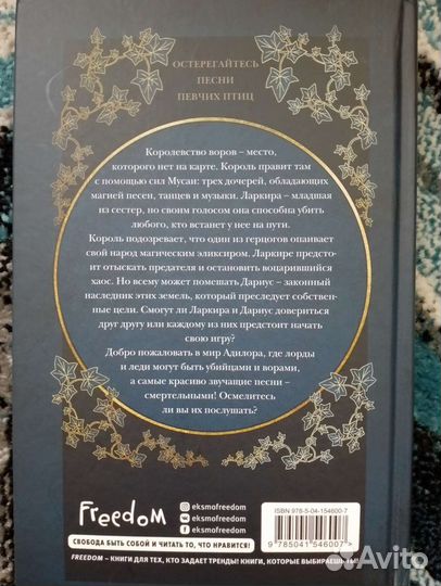 Песня вечных дождей, книга