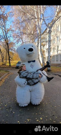 Поздравление от белого медведя панды