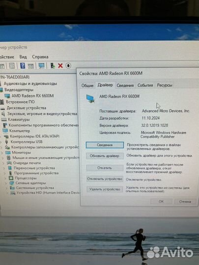 Rx 6600m 8gb (samsung)