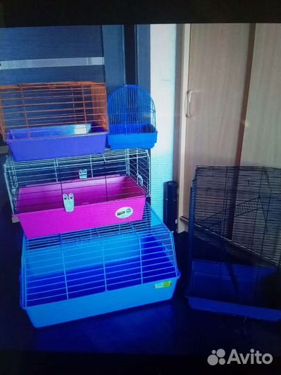 Клетка и многое дрррр