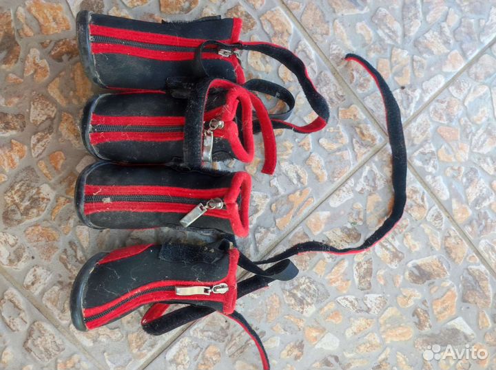 Ботинки для, собак