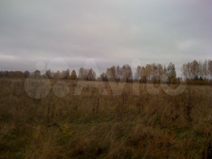 Участок 16 га (СНТ, ДНП)