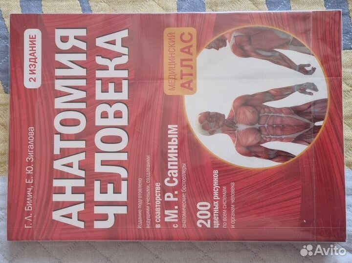 Атлас анатомии человека Сапин Билич Зигалова