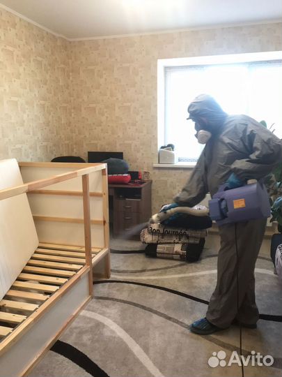 Уничтожение клопов, тараканов, блох, муравьев