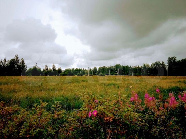 Участок 18 сот. (ИЖС)