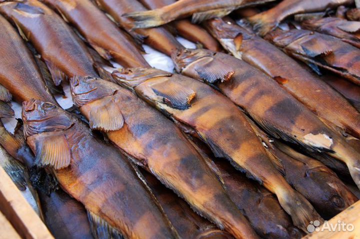 Рыба горячего копчения