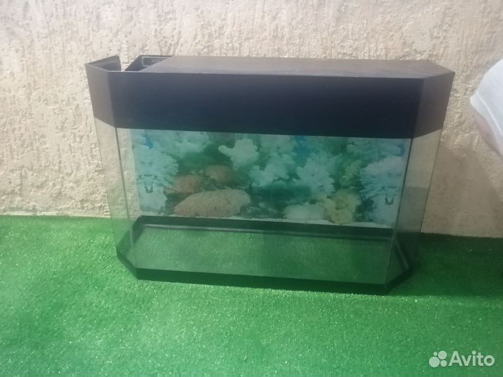 Аквариум 50 литров