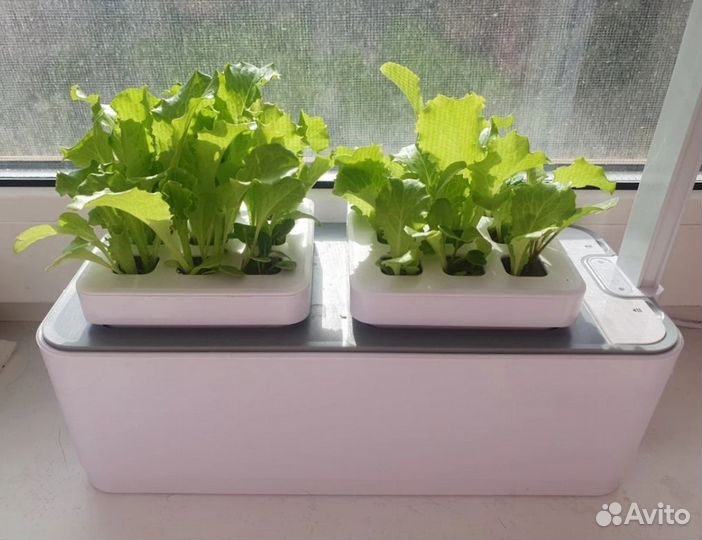 Умный сад для растений, фитомодули