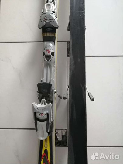 Горные лыжи