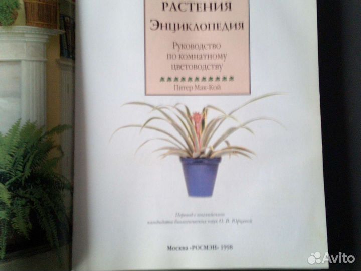 Комнатные растения