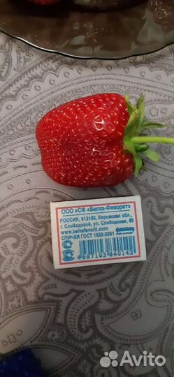 Рассада ремонтантной клубники