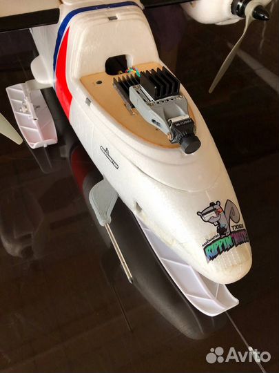 Радиоуправляемый самолет