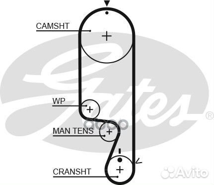 Ремень грм Mitsubishi Lancer,Space Star 4G13 98
