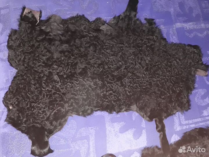 Шкурки каракуля