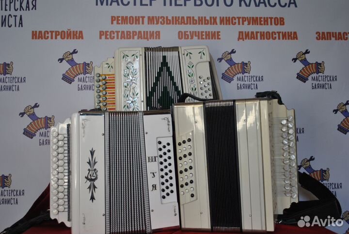 Баян/гармонь/аккордеон