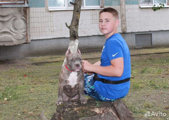 Красавчики