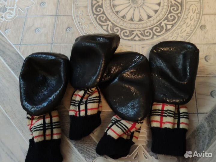 Ботинки для собак