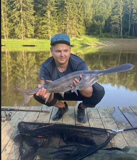 Участок 12,5 сот. (СНТ, ДНП)