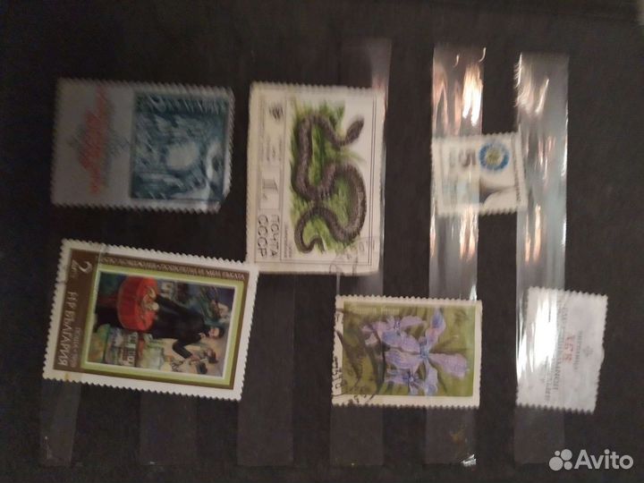 Почтовые марки в альбоме